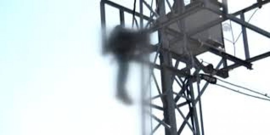 Onarım yaptığı direkte akıma kapılan işçi öldü