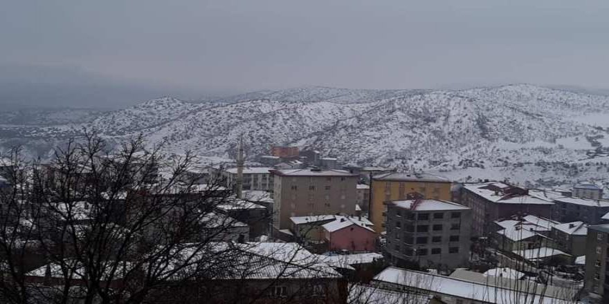 Kulp'ta kar yağışı