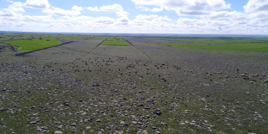 Bol yağış, çiftçi ve besicinin beklentisini arttırdı