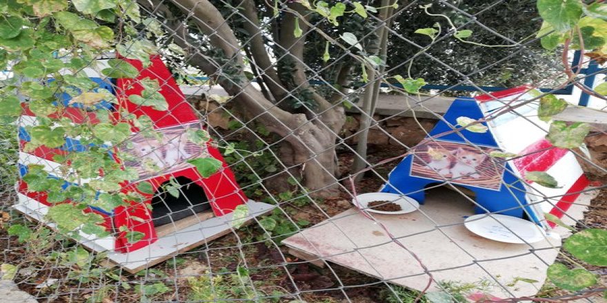 Öğretmen ve öğrencilerden örnek davranış