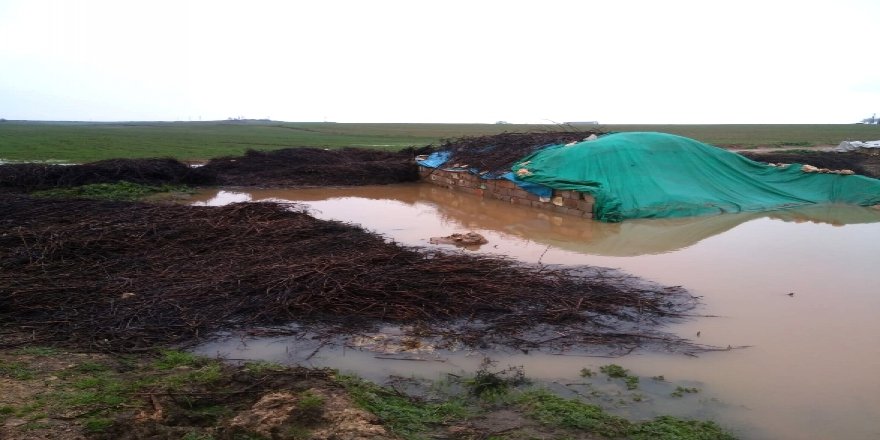 Şanlıurfa'da sağanak yaşamı olumsuz etkiliyor