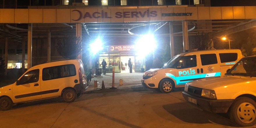 Şanlıurfa'da aracın çarptığı çoban öldü