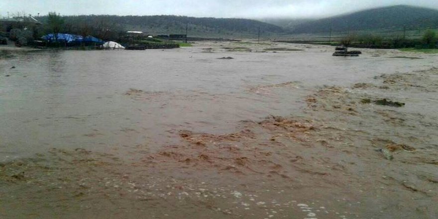 Yoğun yağış tarım arazilerini su altında bıraktı