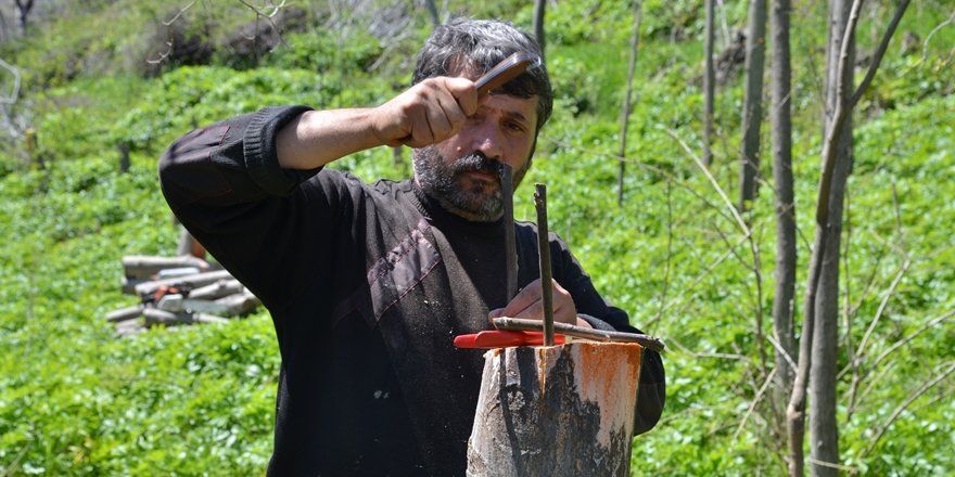 Büyükşehir'den 9 bin ürün vermeyen meyve ağacına aşılama