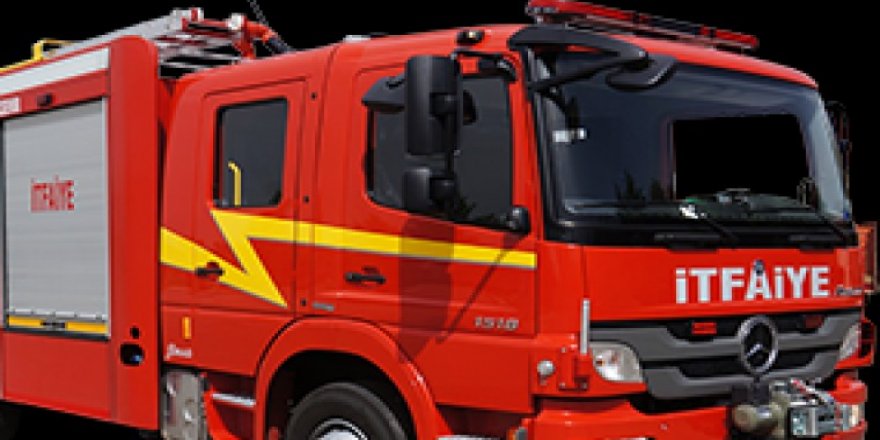 VİDEO - Diyarbakır’da kedi kurtarma operasyonu