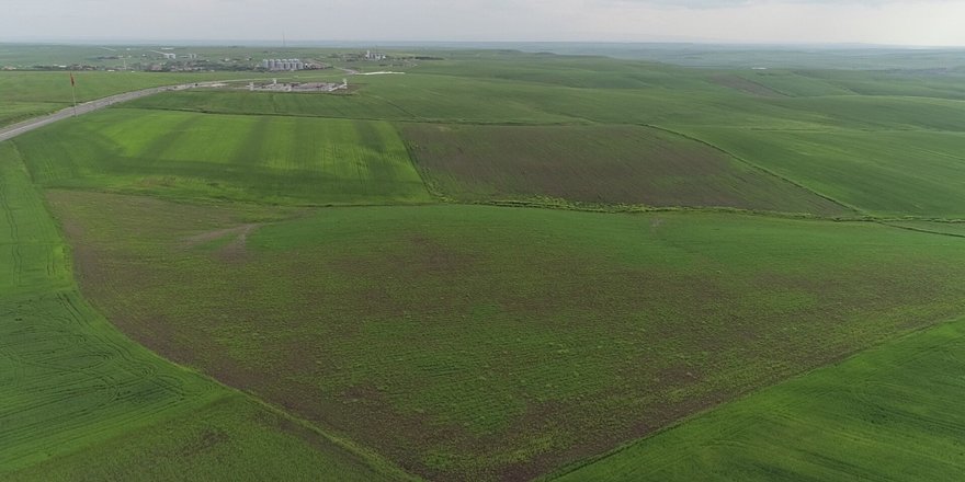 Diyarbakırlı çiftçileri aşırı yağış olumsuz etkiledi