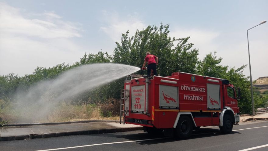 UNESCO Listesinde bulunan Hevsel Bahçeleri yanmaktan son anda kurtuldu