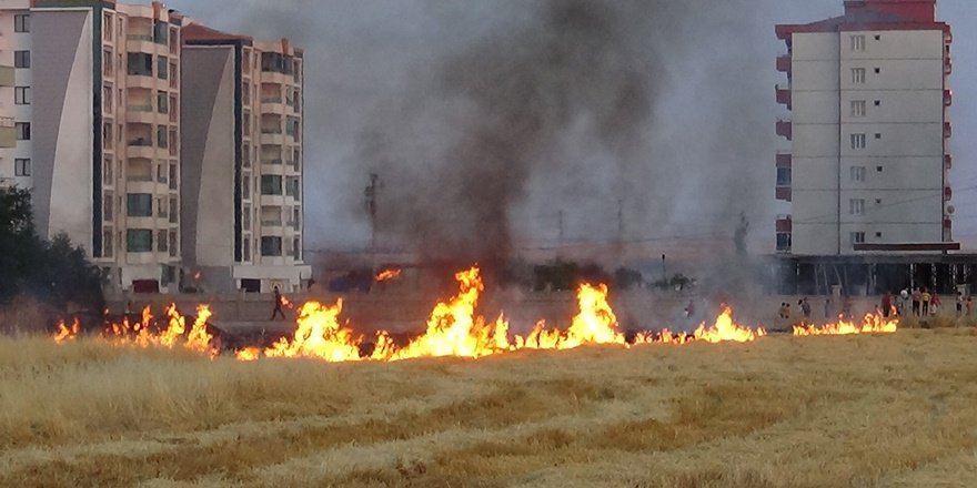 Diyarbakırlı çocuklardan örnek davranış