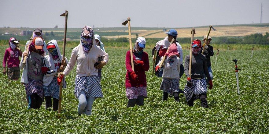 Mevsimlik işçiler jandarmanın takibinde