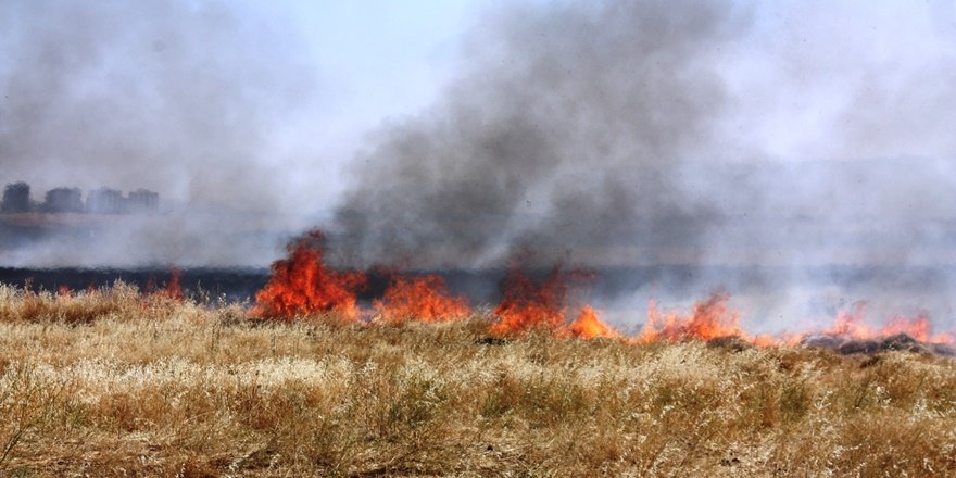 Anız yangınını elbiseleri ile söndürmeye çalıştılar