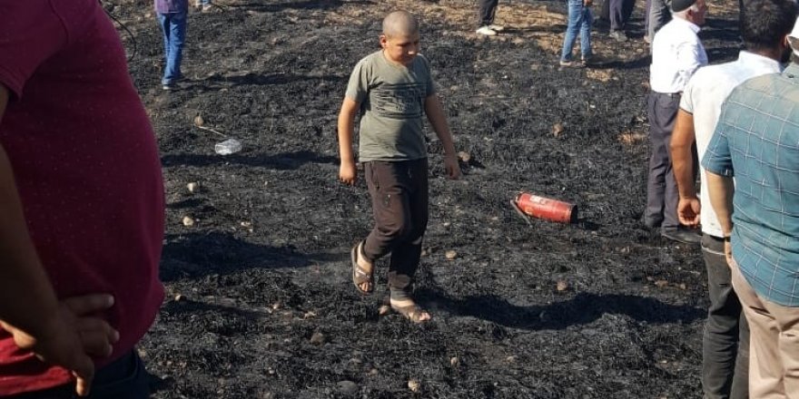 Diyarbakır’da 50 dönümlük ekili arazi kül oldu