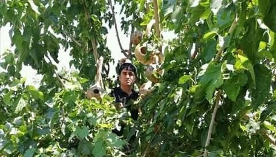 Çınar'da duyarlı vatandaştan örnek davranış