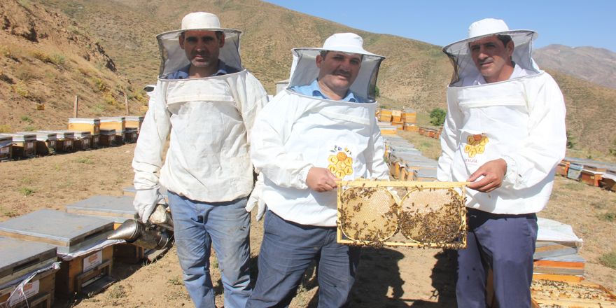 Türkiye'nin en kaliteli balının hasadına başlandı