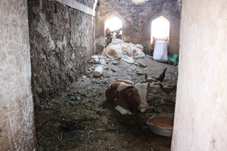 Yıkılmaya yüz tutan asırlık kasır ahır olarak kullanıyor