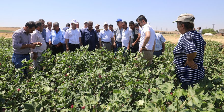 Tarım ve Orman Diyarbakır İl Müdürü çiftçiler ile buluştu