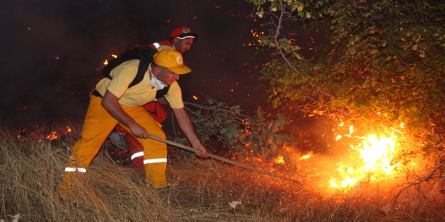 Siirt'teki orman yangını kontrol altına alındı