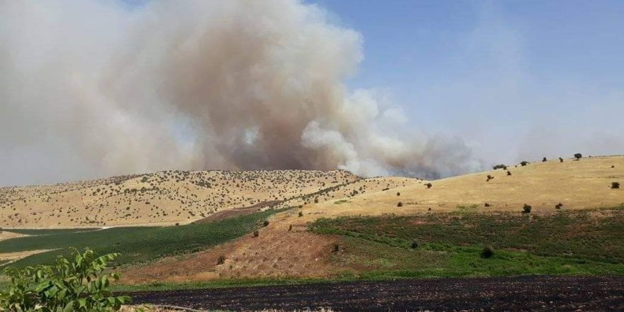 Çınar’da ağaçlık alanda yangın