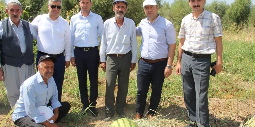 Sur Kaymakamı  Çiftçi, karpuz tarlasını ziyaret etti