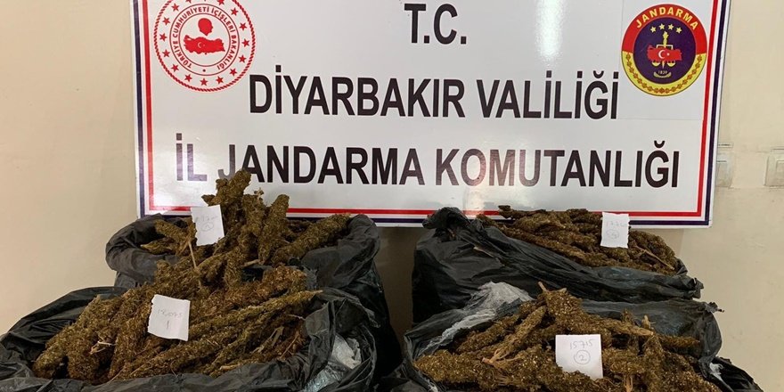 Jandarma’dan esrar operasyonu