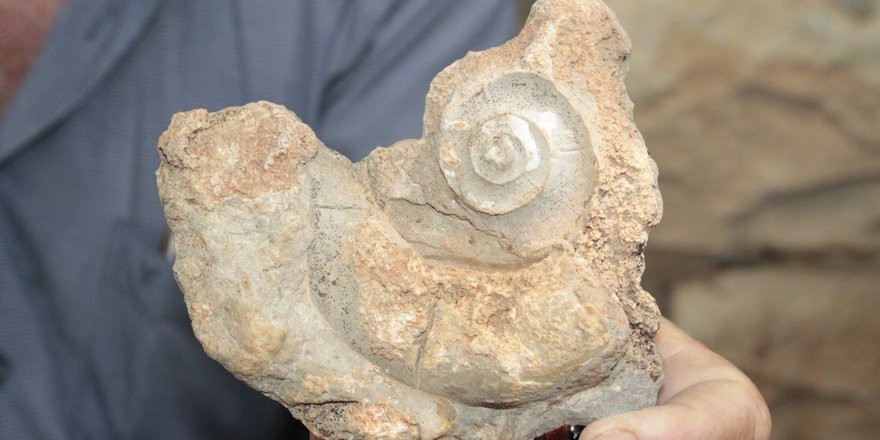 Salyangoz şekilli taş Erganilileri  merakta bıraktı