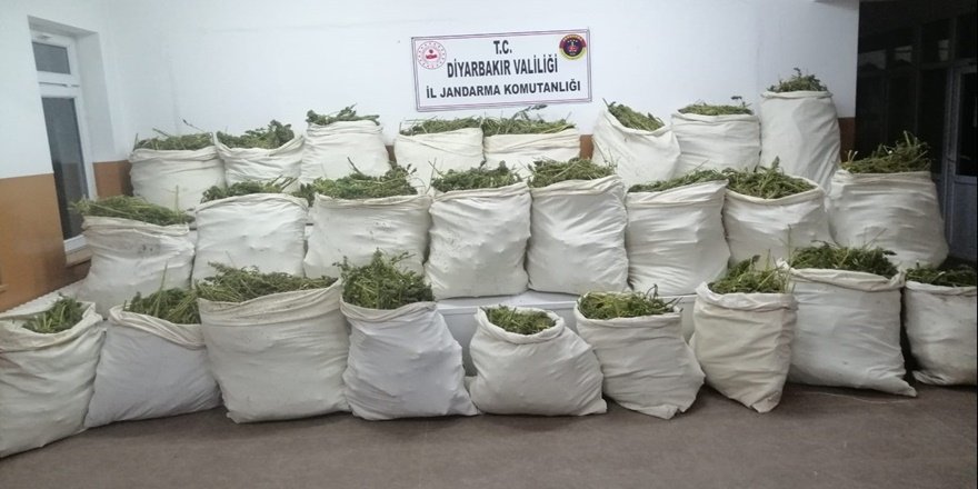 Diyarbakır’da 6 milyon kök keneviri ele geçirildi
