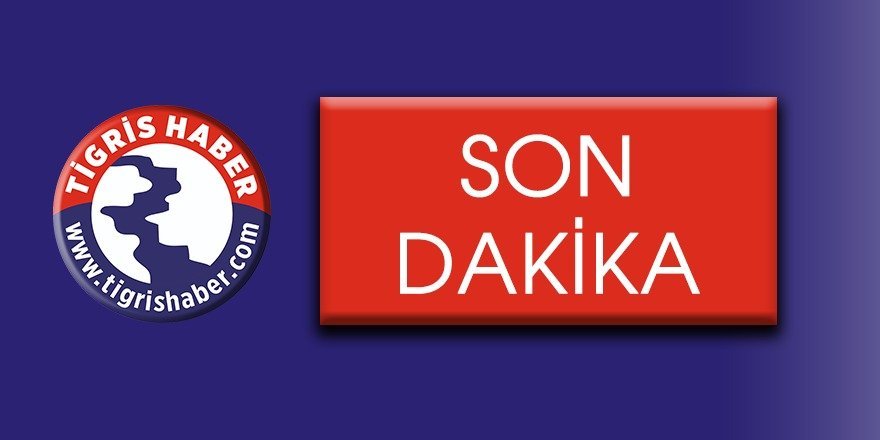 Diyarbakır’da biri gri listede aranan 2 PKK’li yakalandı