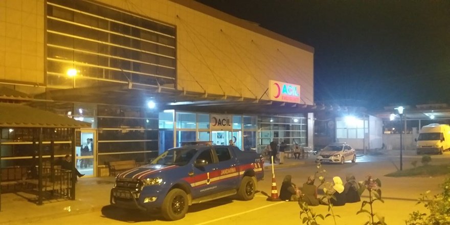 Otomobilin ata çarptığı kazada: 1 ölü, 3 yaralı