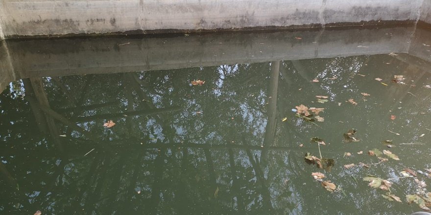 Havuz giren 8 yaşındaki iki çocuk boğuldu