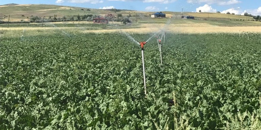 Dersim'de 5 bin 330 dönüm tarlada suya kavuştu