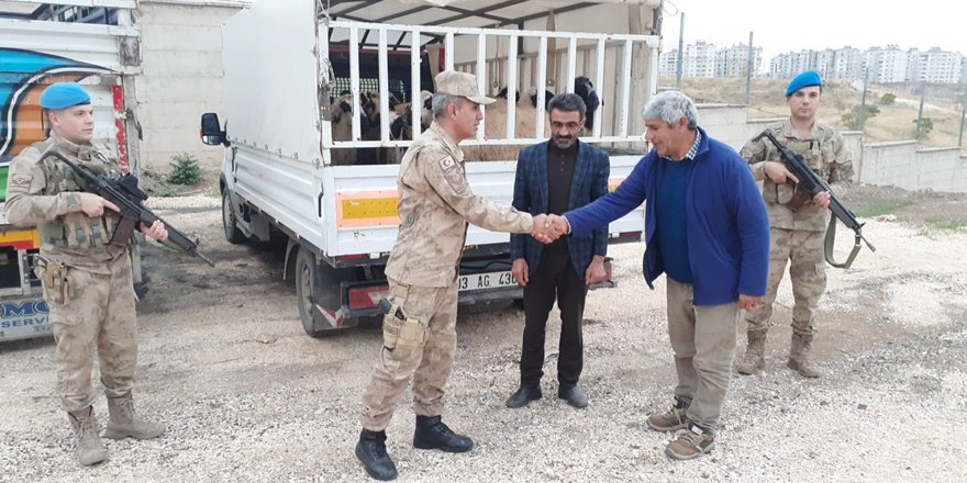 VİDEO - Bingöl’de çalınan küçükbaş hayvanlar Diyarbakır’da yakalandı