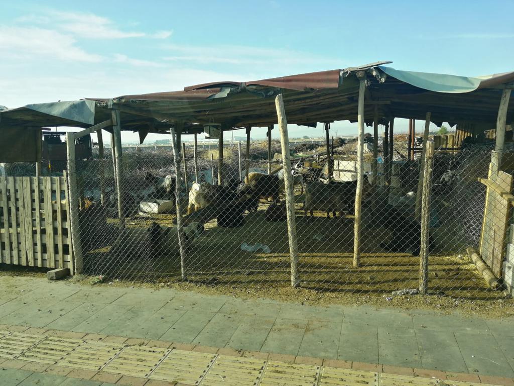 Vatandaşlar istedi Belediye temizledi!