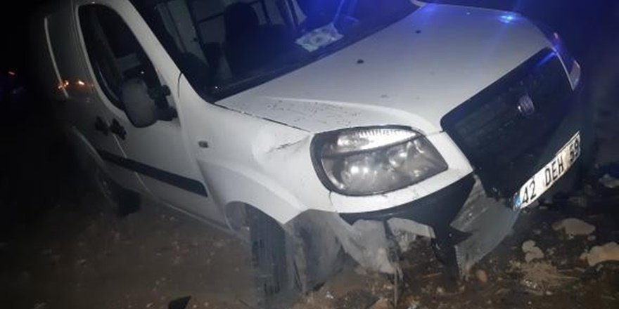 Köpeğe çarpan araç yoldan çıktı: 1 yaralı