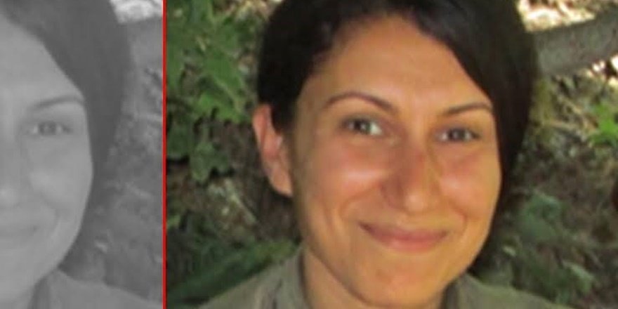 VİDEO - Gri kategoride aranan PKK'li Tuncer yakalandı