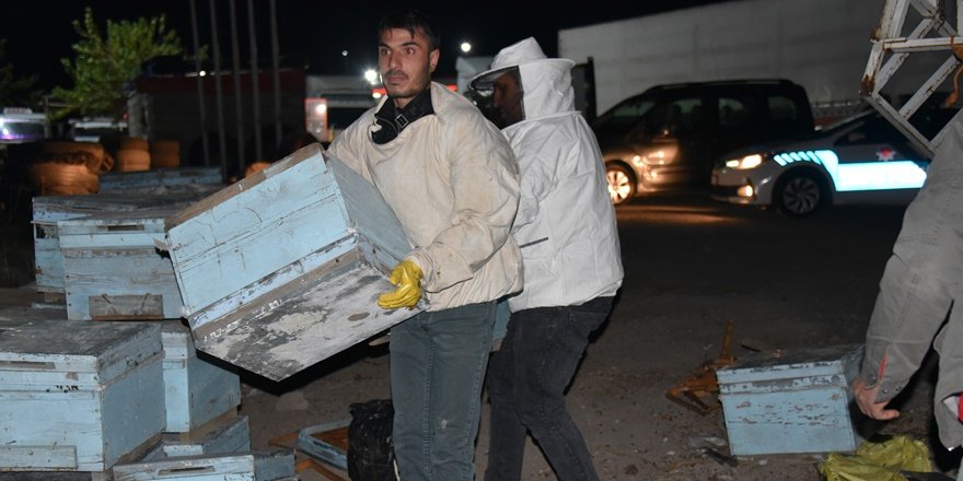 Siverek'te Arı kovanı yüklü kamyonete tır çaptı