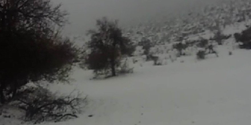 Diyarbakır’a ilk kar düştü