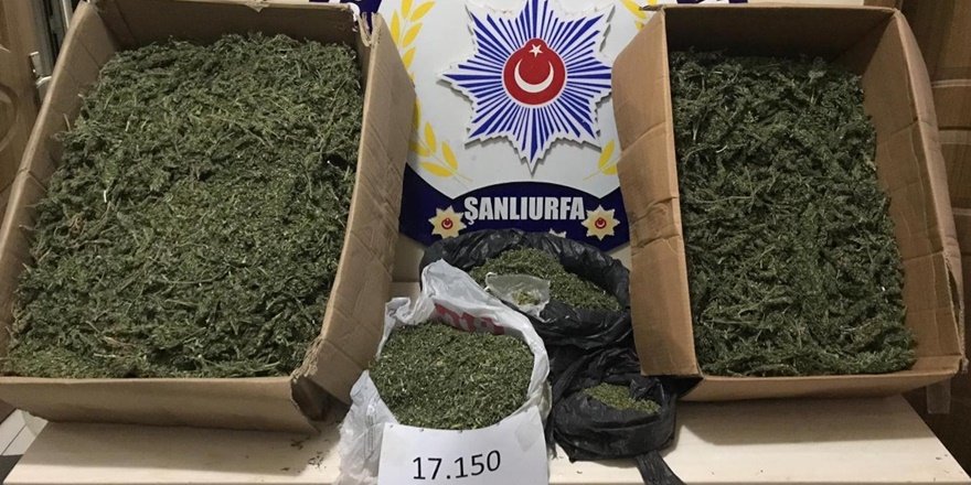 Şanlıurfa’da uyuşturucu taciri bağ evinde yakayı ele verdi