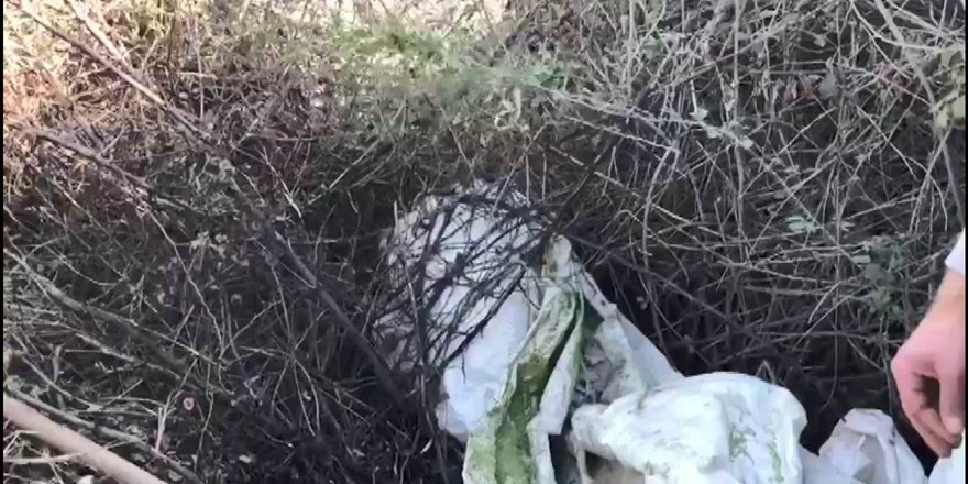 VİDEO - Diyarbakır’da operasyon