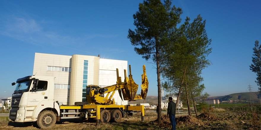 Siirt'te sular altında kalacak ağaçların üniversite yerleşkesine nakli