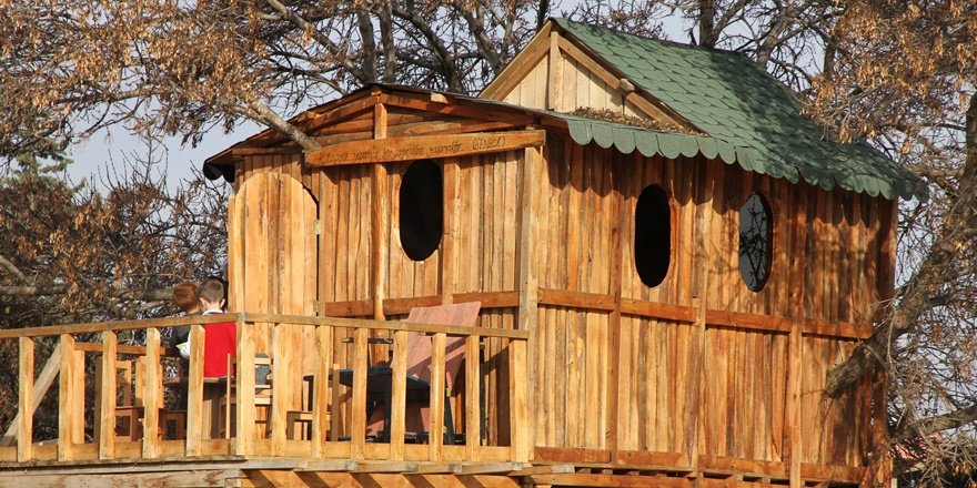 Mardin’deki ağaç ev öğrencileri okula bağladı