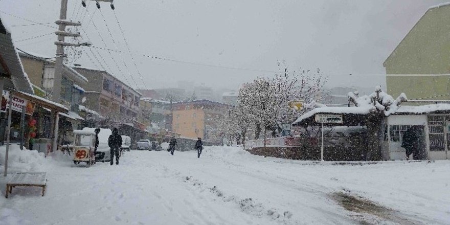 Kulp'ta kar temizleme çalışması