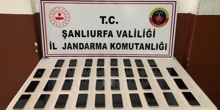 Şanlıurfa'da kaçakçılık operasyonu