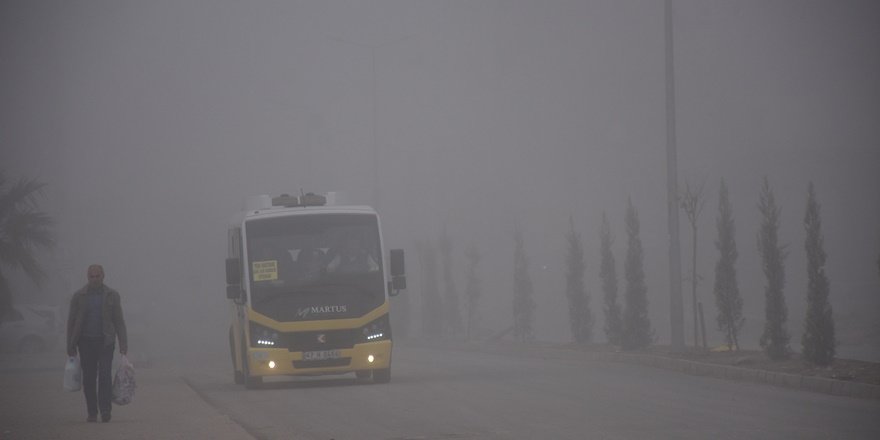 Nusaybin'de yoğun sis
