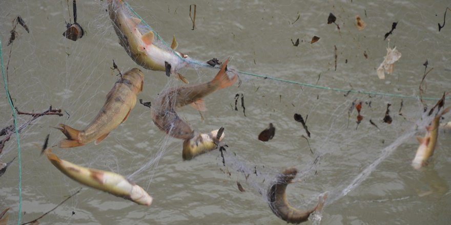 Şırnak’ta eksi 18 derecede balık avı