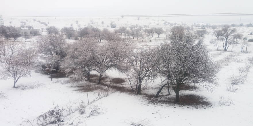 Dicle'de kar yağışı hayatı olumsuz etkiledi
