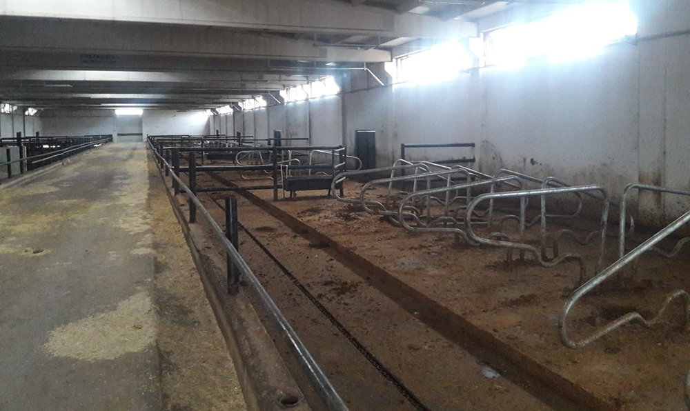 VİDEO - Bir çiftlik Bank Vakası da Diyarbakır’da yaşandı