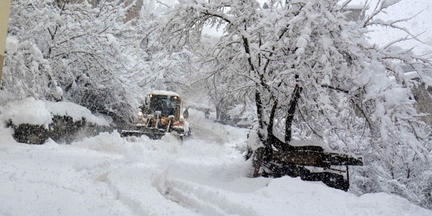 Hakkari kırsalında kar esareti