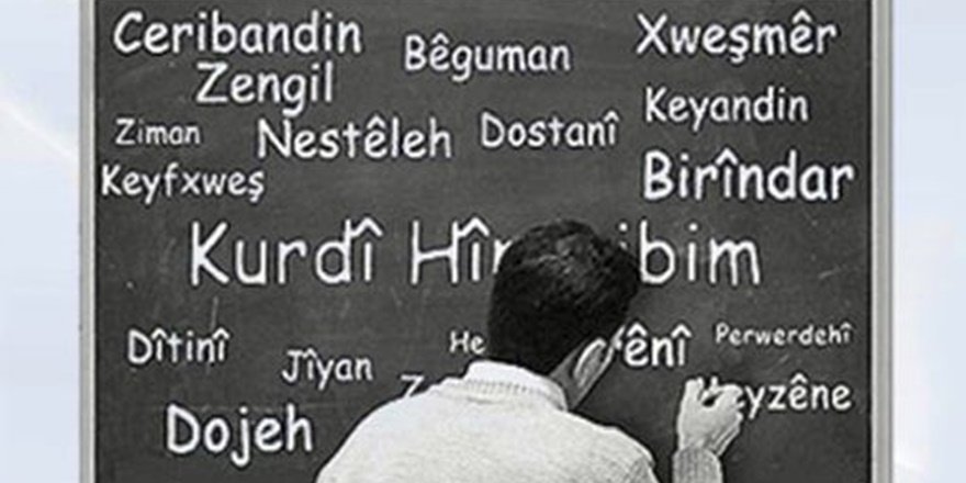 DİERG'ten anadil seçimi çağrısı