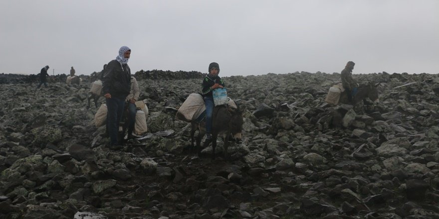 Karacadağ’da eşek sırtında su çilesi