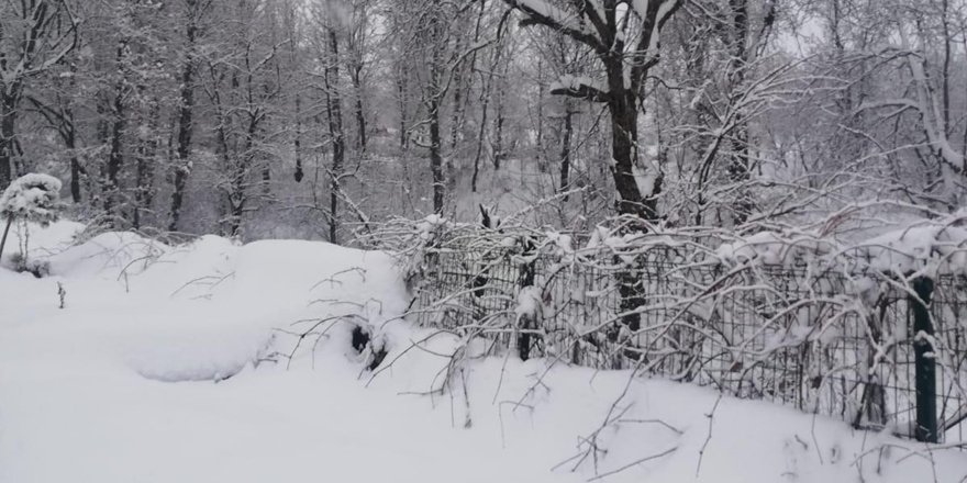 Hakkari Çukurca'da kar yağışı