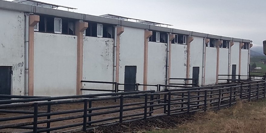 Diyarbakır Çiftlik Bank vurgununda 5 tutuklama daha